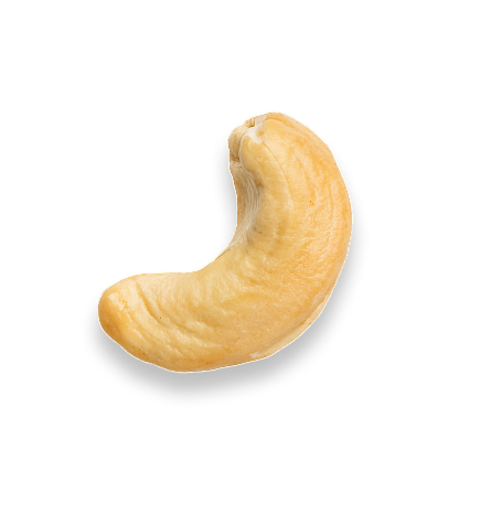 Cashews